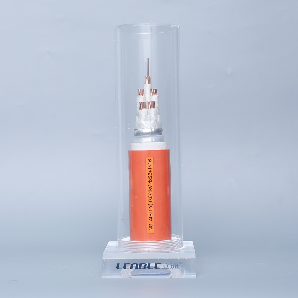 NG-A(BTLY) 0.6/1kV 4X25+1X16